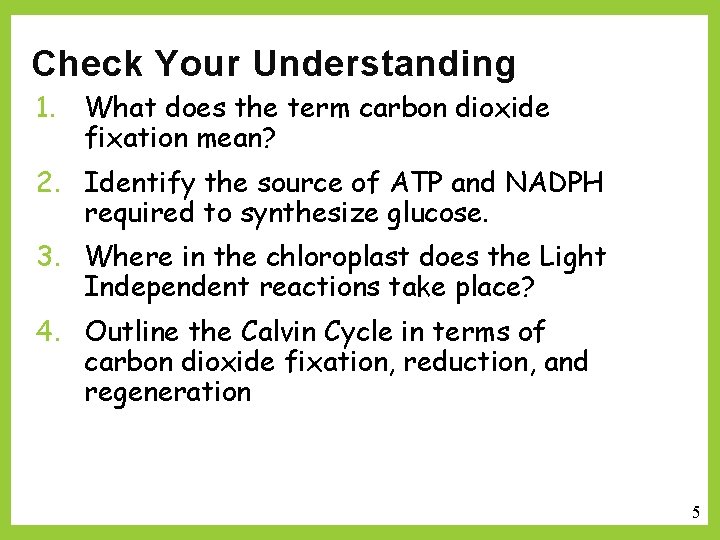 Check Your Understanding 1. What does the term carbon dioxide fixation mean? 2. Identify
