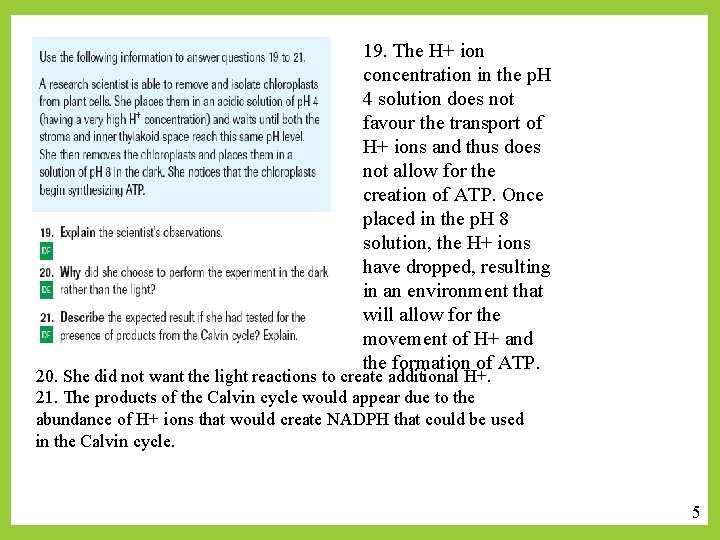 19. The H+ ion concentration in the p. H 4 solution does not favour