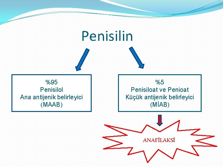 Penisilin %95 Penisilol Ana antijenik belirleyici (MAAB) %5 Penisiloat ve Penioat Küçük antijenik belirleyici
