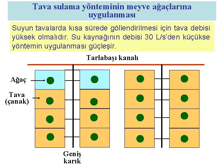 Tava sulama yönteminin meyve ağaçlarına uygulanması Suyun tavalarda kısa sürede göllendirilmesi için tava debisi