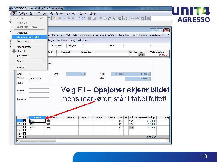 Velg Fil – Opsjoner skjermbildet mens markøren står i tabellfeltet! 13 Velg Fil – Opsjoner skjermbildet mens markøren står i tabellfeltet! 13