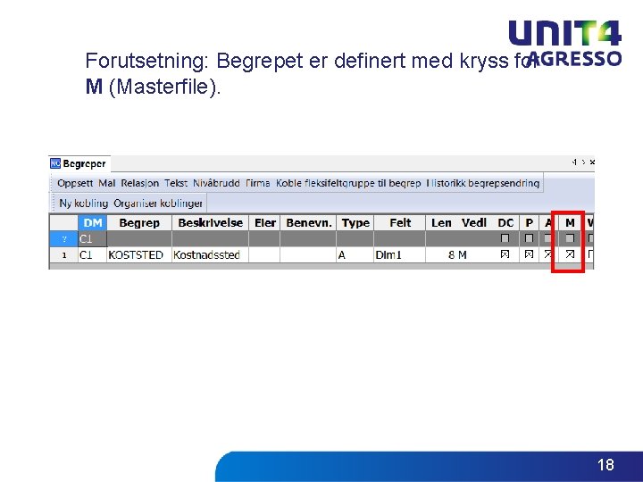 Forutsetning: Begrepet er definert med kryss for M (Masterfile). 18 Forutsetning: Begrepet er definert med kryss for M (Masterfile). 18