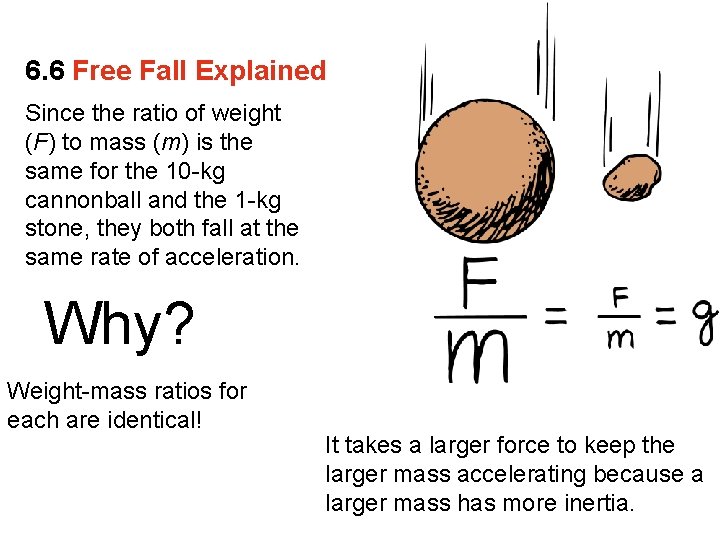 6. 6 Free Fall Explained Since the ratio of weight (F) to mass (m)