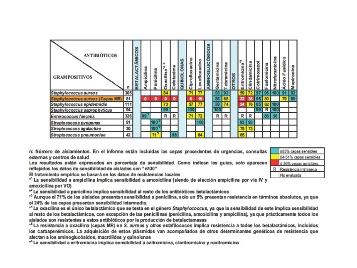 Equipo PROA AP AGS Norte de Cádiz 