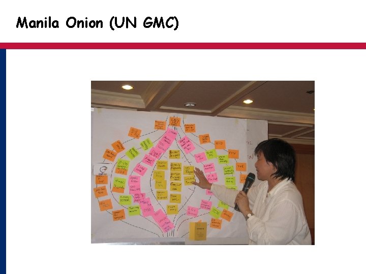 Manila Onion (UN GMC) 