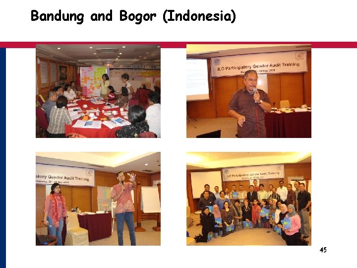 Bandung and Bogor (Indonesia) 45 