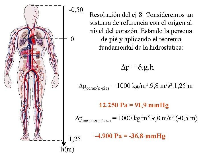 -0, 50 0 Resolución del ej 8. Consideremos un sistema de referencia con el