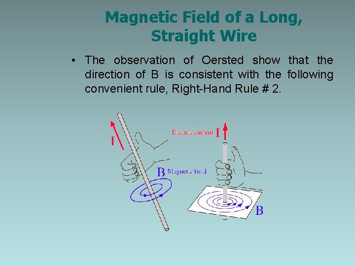 Magnetic Field of a Long, Straight Wire • The observation of Oersted show that