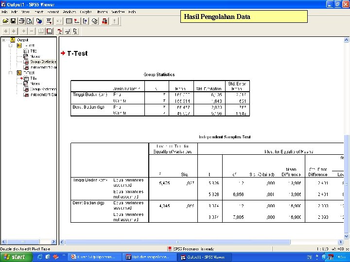 Hasil Pengolahan Data 