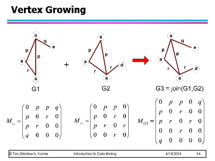 Vertex Growing © Tan, Steinbach, Kumar Introduction to Data Mining 4/18/2004 54 