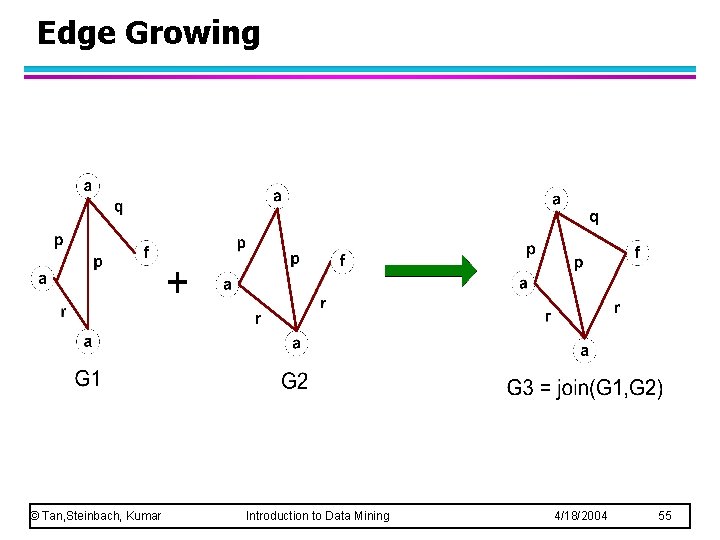 Edge Growing © Tan, Steinbach, Kumar Introduction to Data Mining 4/18/2004 55 