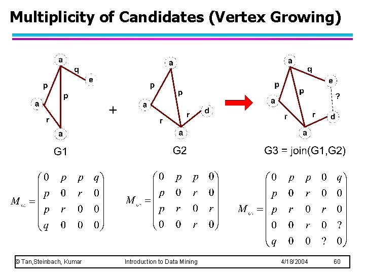 Multiplicity of Candidates (Vertex Growing) © Tan, Steinbach, Kumar Introduction to Data Mining 4/18/2004