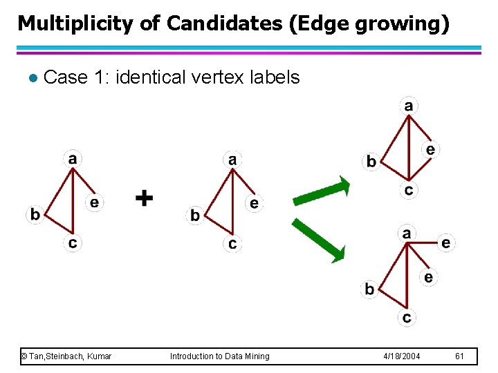 Multiplicity of Candidates (Edge growing) l Case 1: identical vertex labels © Tan, Steinbach,