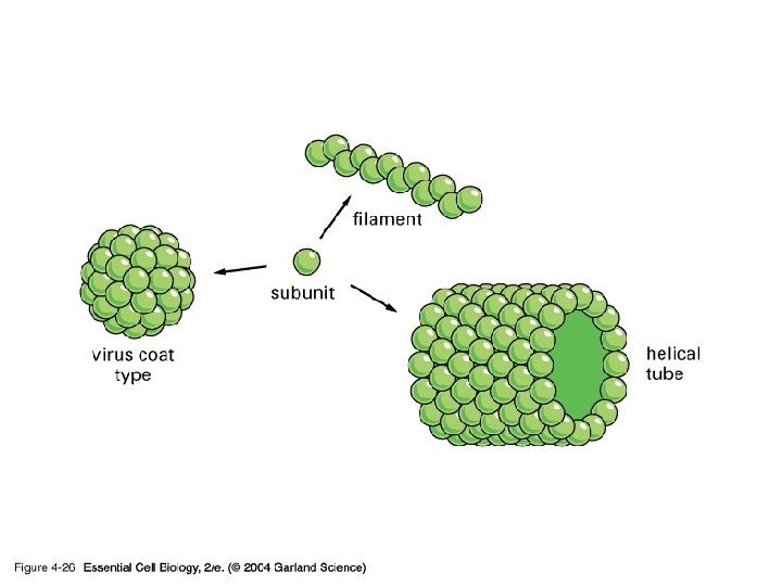 04_26_spherical shell. jpg 04_26_spherical shell. jpg