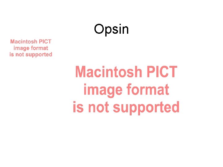 Opsin Opsin