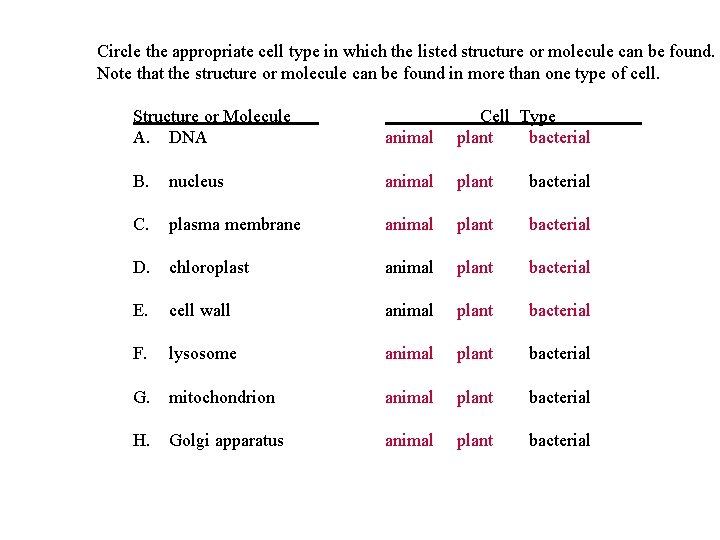 Circle the appropriate cell type in which the listed structure or molecule can be Circle the appropriate cell type in which the listed structure or molecule can be