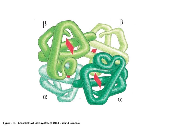 04_23_asymmetrical as. jpg 04_23_asymmetrical as. jpg