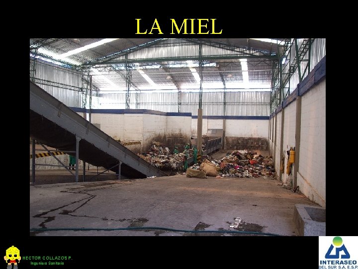 LA MIEL HECTOR COLLAZOS P. Ingeniero Sanitario 