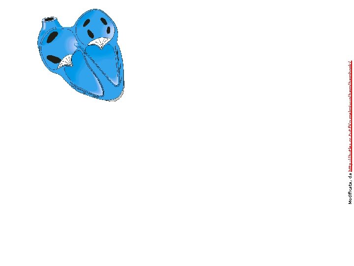 Modificata, da http: //butler. cc. tut. fi/~malmivuo/bembook/ Diastole 