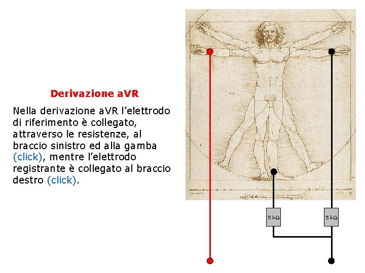 Derivazione a. VR Nella derivazione a. VR l’elettrodo di riferimento è collegato, attraverso le