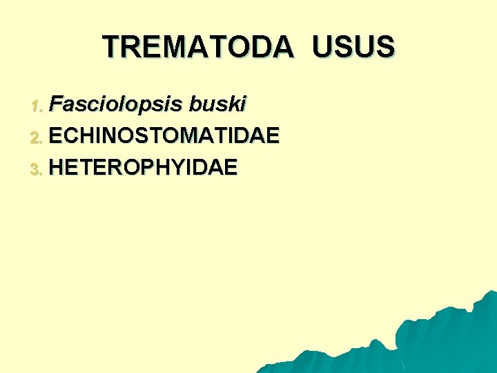 TREMATODA USUS Fasciolopsis buski 2. ECHINOSTOMATIDAE 3. HETEROPHYIDAE 1. 