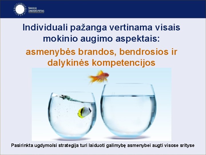 Individuali pažanga vertinama visais mokinio augimo aspektais: asmenybės brandos, bendrosios ir dalykinės kompetencijos Pasirinkta