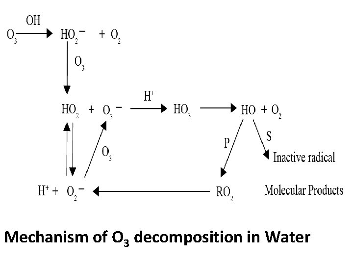 Mechanism of O 3 decomposition in Water 