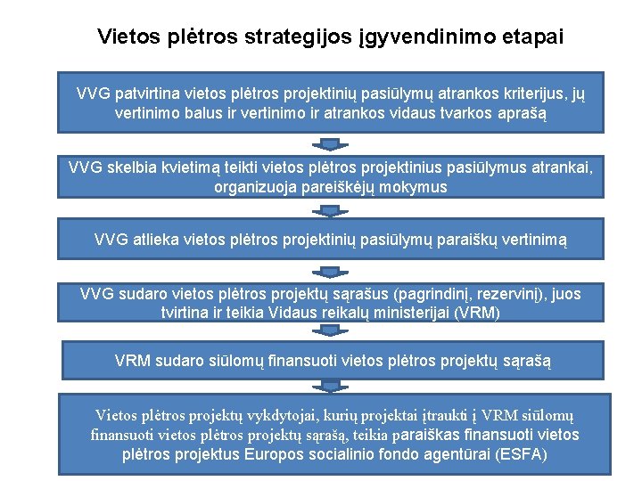 Vietos plėtros strategijos įgyvendinimo etapai VVG patvirtina vietos plėtros projektinių pasiūlymų atrankos kriterijus, jų