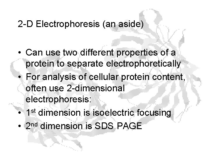 2 -D Electrophoresis (an aside) • Can use two different properties of a protein
