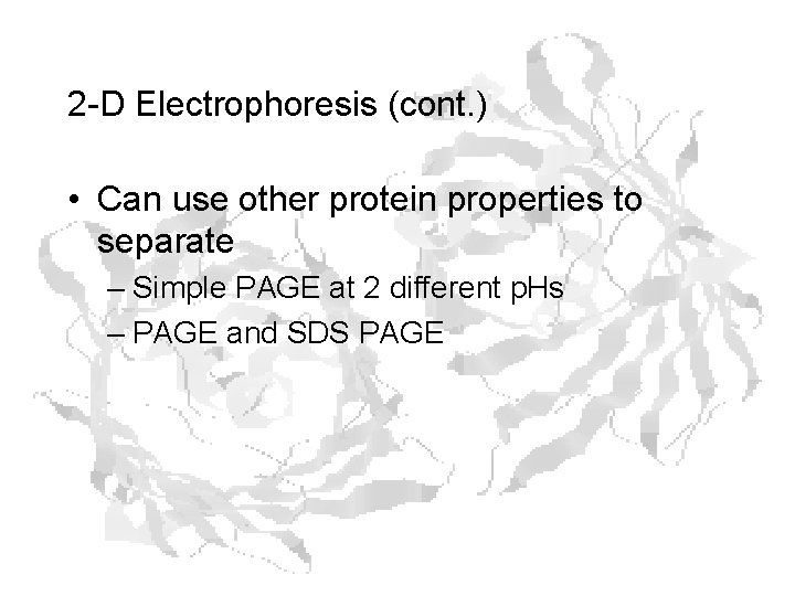 2 -D Electrophoresis (cont. ) • Can use other protein properties to separate –