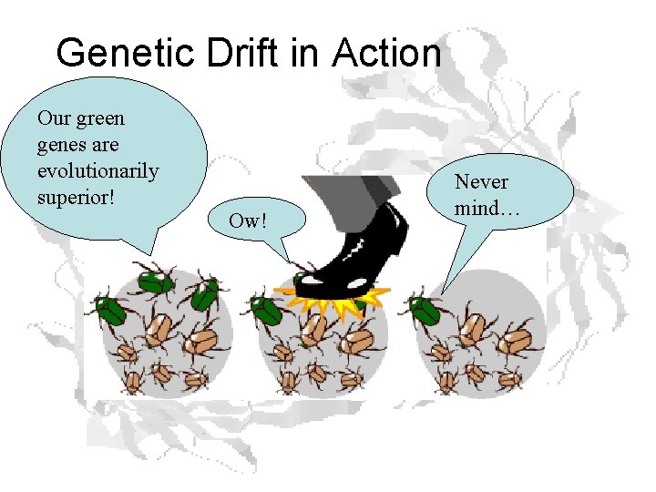 Genetic Drift in Action Our green genes are evolutionarily superior! Ow! Never mind… 