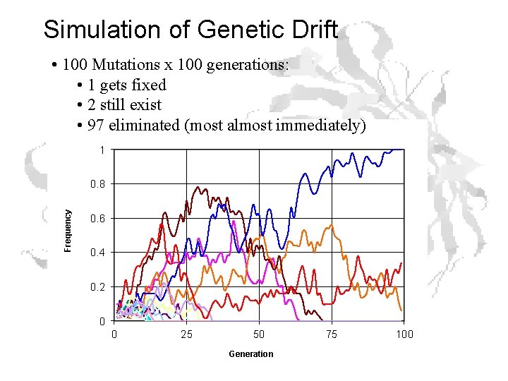 Simulation of Genetic Drift • 100 Mutations x 100 generations: • 1 gets fixed