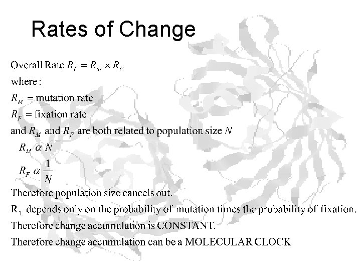 Rates of Change 