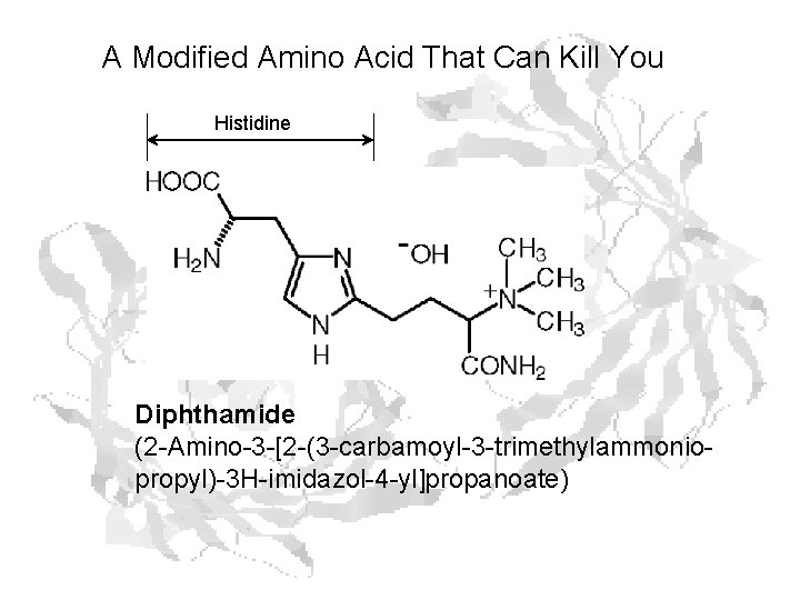 A Modified Amino Acid That Can Kill You Histidine Diphthamide (2 -Amino-3 -[2 -(3