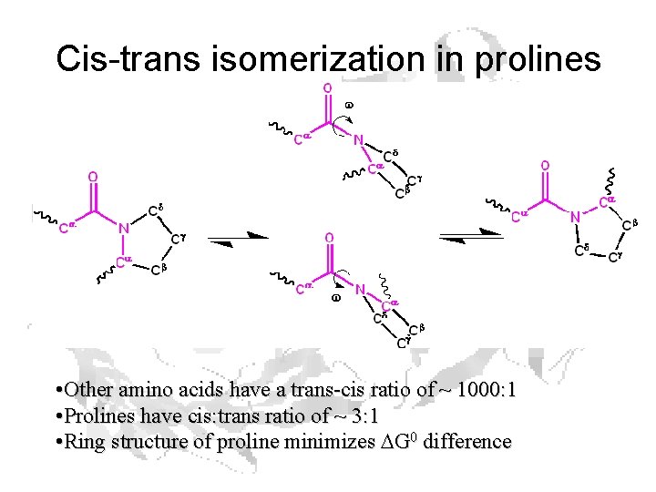 Cis-trans isomerization in prolines • Other amino acids have a trans-cis ratio of ~
