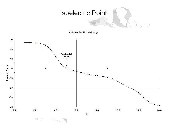 Isoelectric Point 