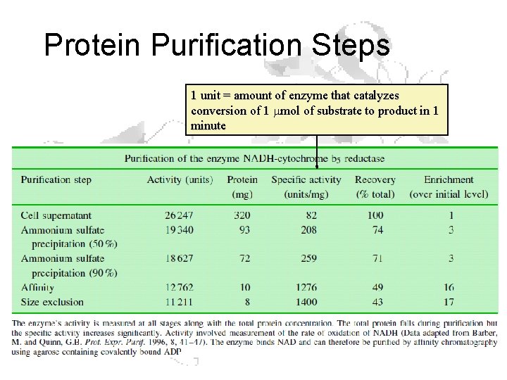 Protein Purification Steps 1 unit = amount of enzyme that catalyzes conversion of 1