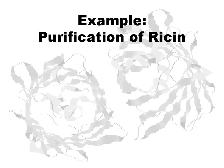 Example: Purification of Ricin 