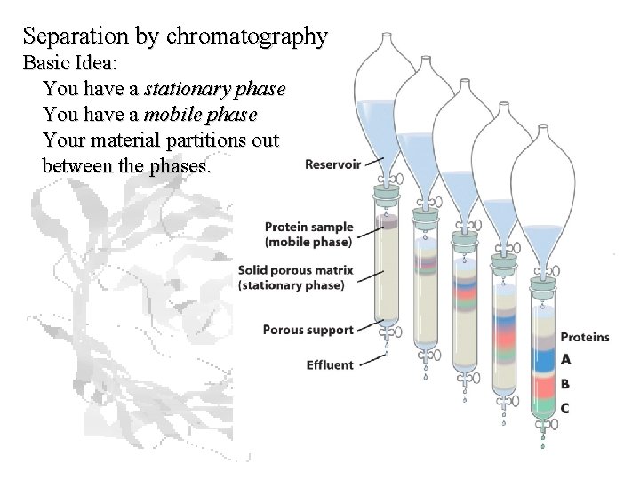 Separation by chromatography Basic Idea: You have a stationary phase You have a mobile