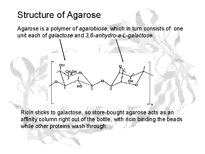 Structure of Agarose is a polymer of agarobiose, which in turn consists of one