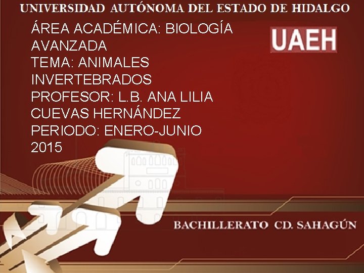 ÁREA ACADÉMICA: BIOLOGÍA AVANZADA TEMA: ANIMALES INVERTEBRADOS PROFESOR: L. B. ANA LILIA CUEVAS HERNÁNDEZ