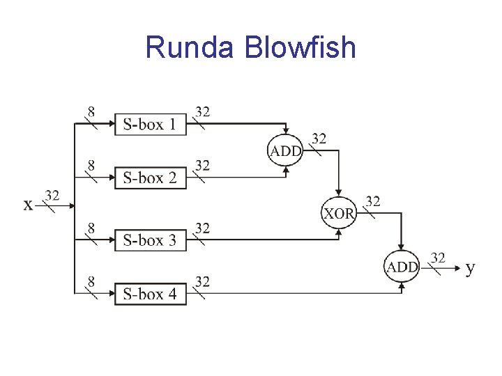 Runda Blowfish 