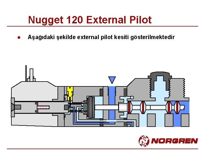 Nugget 120 External Pilot l Aşağıdaki şekilde external pilot kesiti gösterilmektedir 