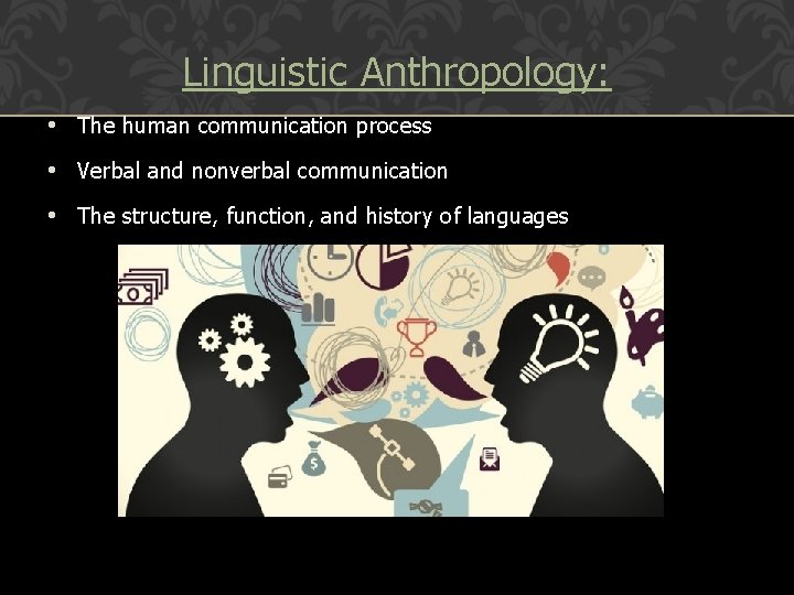 Linguistic Anthropology: • The human communication process • Verbal and nonverbal communication • The