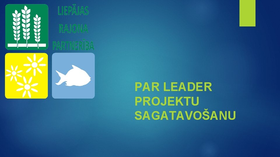 PAR LEADER PROJEKTU SAGATAVOŠANU 