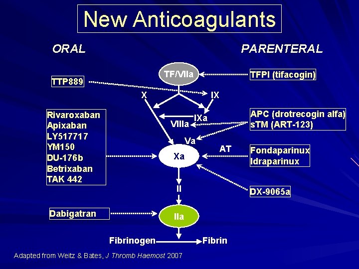 New Anticoagulants ORAL PARENTERAL TF/VIIa TTP 889 TFPI (tifacogin) X Rivaroxaban Apixaban LY 517717