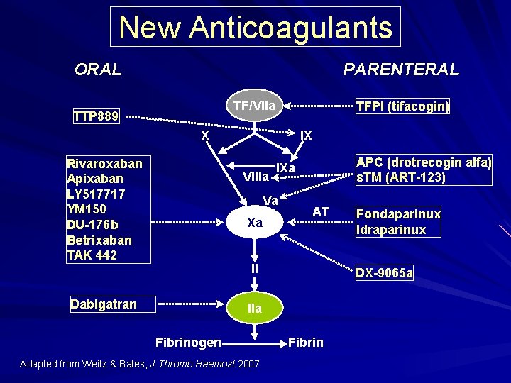 New Anticoagulants ORAL PARENTERAL TF/VIIa TTP 889 TFPI (tifacogin) X Rivaroxaban Apixaban LY 517717 New Anticoagulants ORAL PARENTERAL TF/VIIa TTP 889 TFPI (tifacogin) X Rivaroxaban Apixaban LY 517717