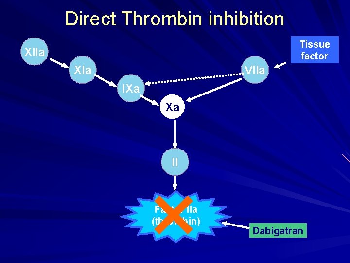 Direct Thrombin inhibition Tissue factor XIIa XIa VIIa IXa Xa II × Factor IIa