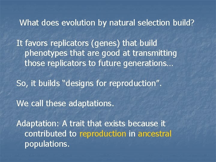 What does evolution by natural selection build? It favors replicators (genes) that build phenotypes