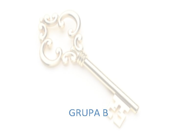 GRUPA B 
